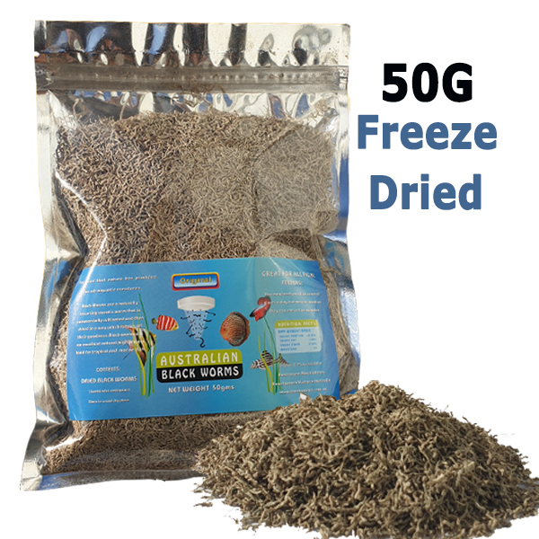 Australian Black Worm Freeze Dried 50g Loose