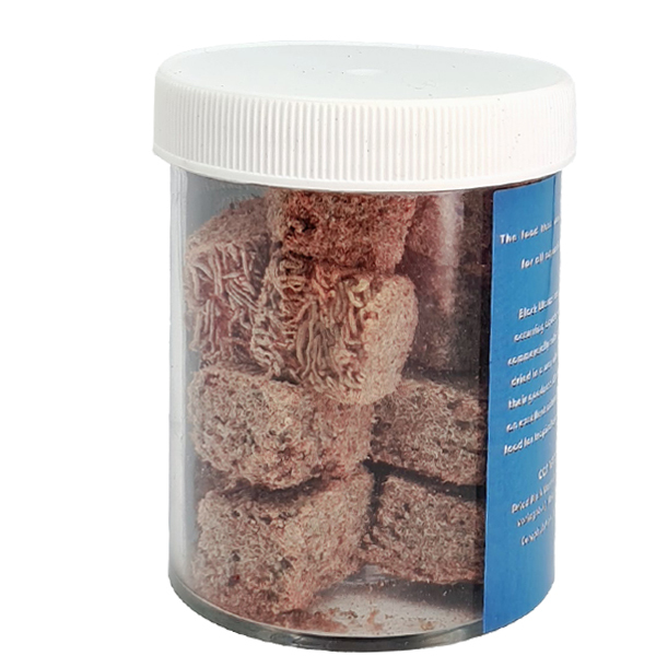 Australian Black Worm Pigmented Freeze Dried 10g Cube in Container