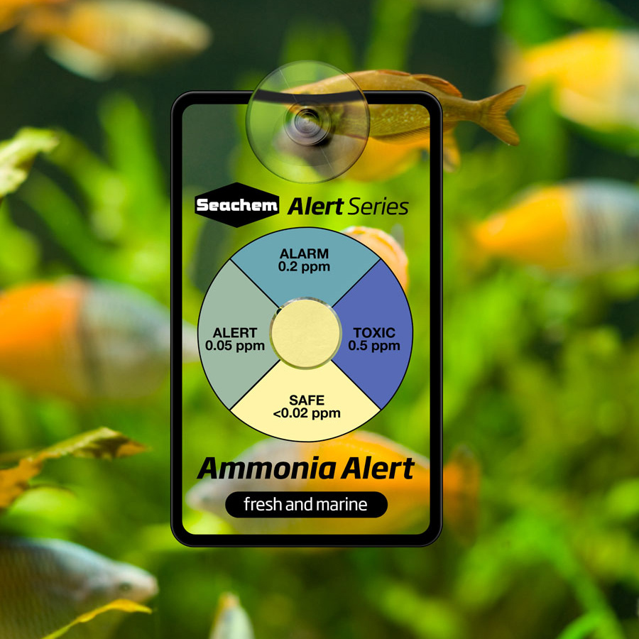 Seachem Alert Combo Pack PH & Ammonia  6 Month
