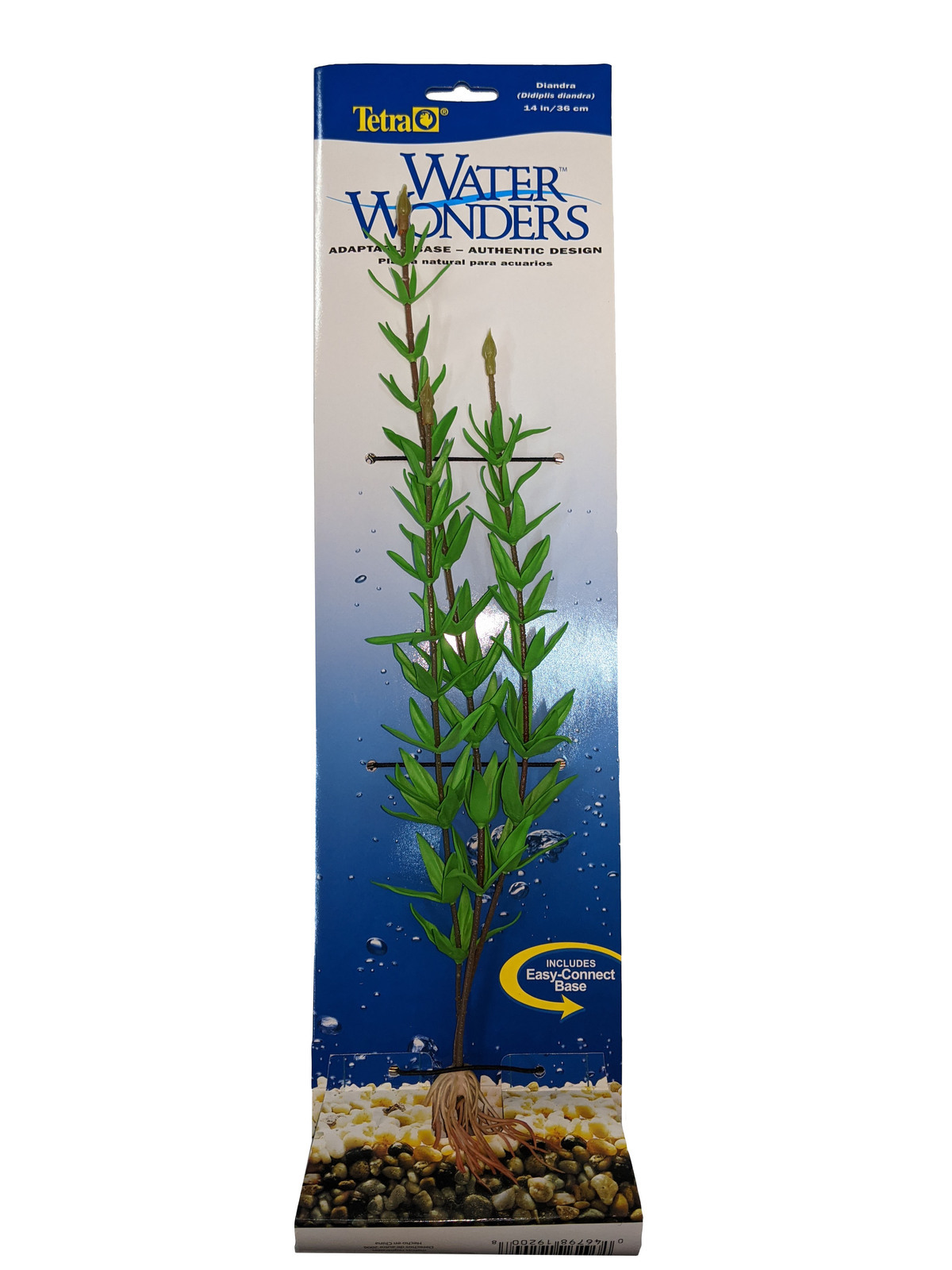 Tetra Diandra Water Wonders Plant Large