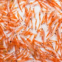 Alternate image of Aqua Natural Freeze Dried Krill 16g - Fish Food