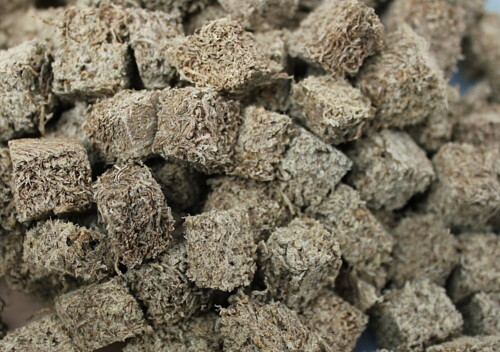 Australian Black Worm Freeze Dried 100g Cubes 