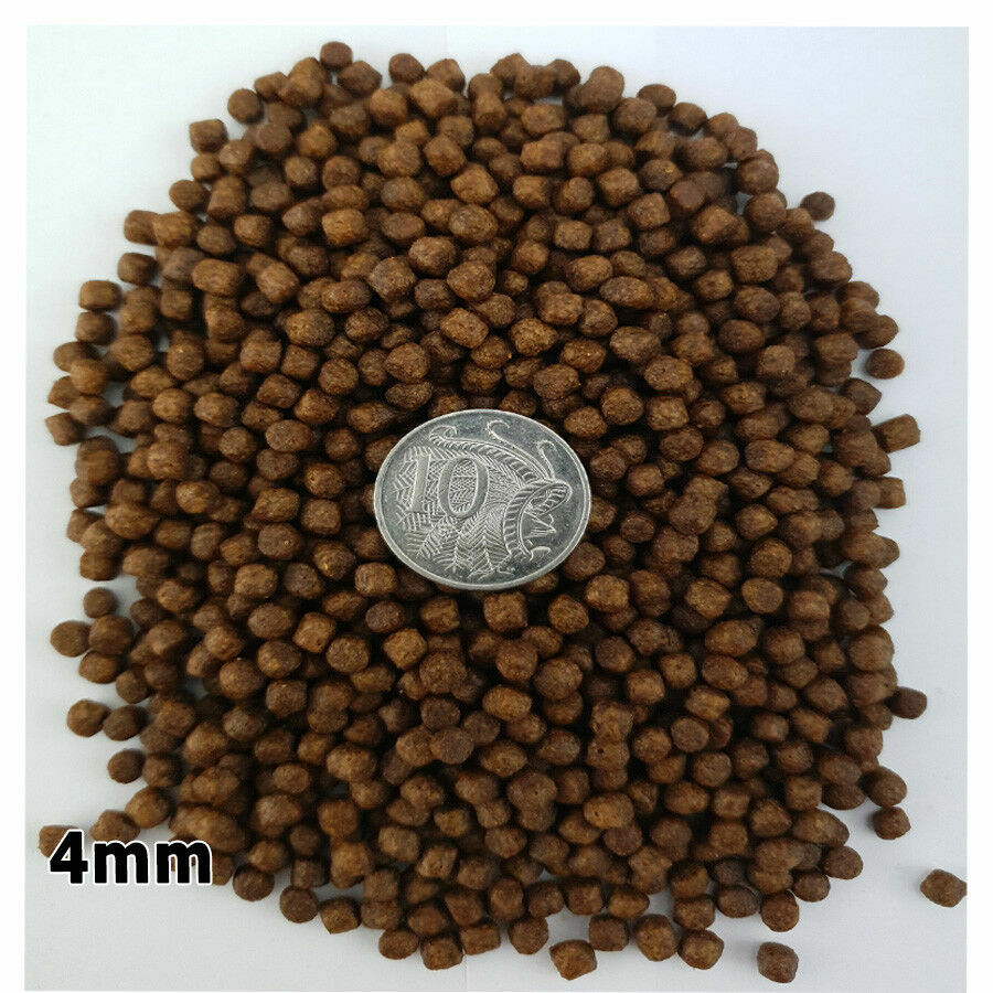 Cichlid Tropical 4mm Fish Food Floating HIGH PROTEIN