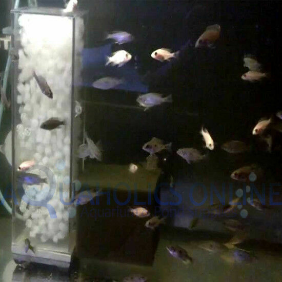 K1 Aquarium Bio Filter Moving Bed Filter Media 25L