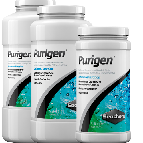 Purigen (250 mL) - Seachem