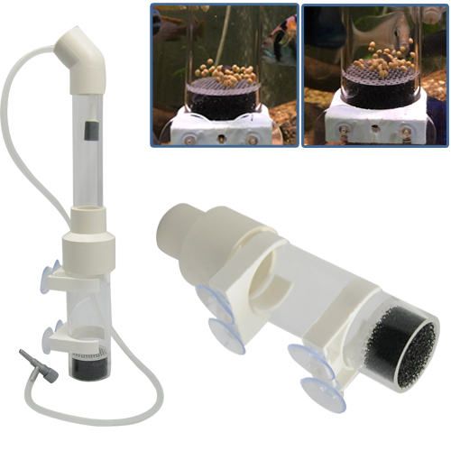 Aquarium egg hotsell tumbler