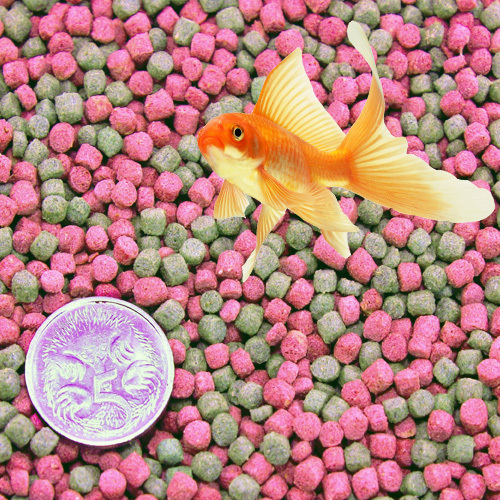 Fish Food Pellets Goldfish Koi Tropical Floating Pond Aquarium Fish Pellet 100g