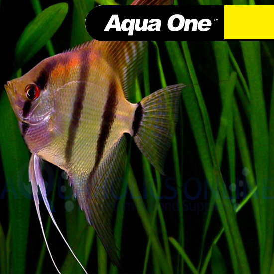 Aqua One Tropical Aquarium Fish Food Flake Bulk 2Kg