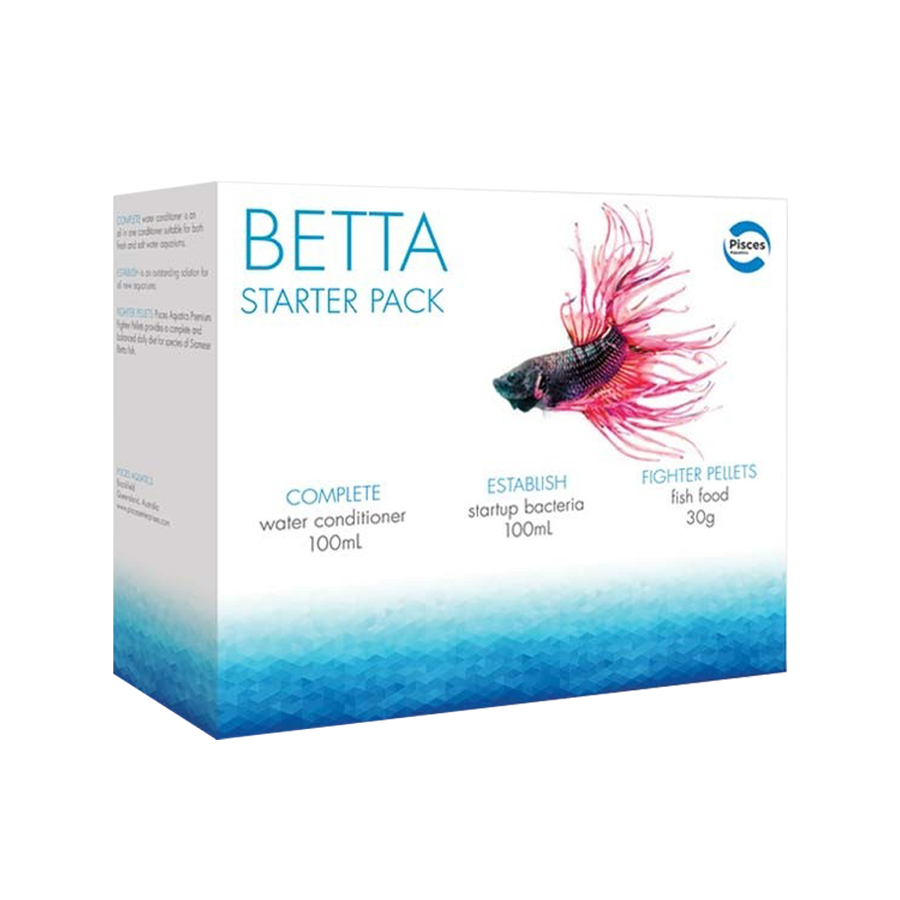 Pisces Betta Fighter Fish Starter Pack