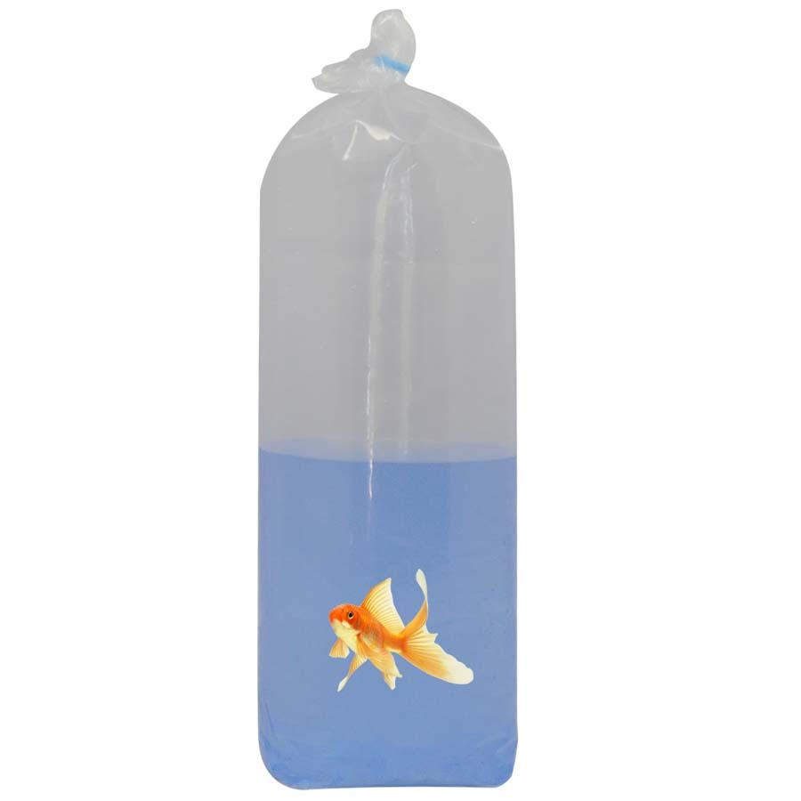 500 Clear Plastic Small Fish Bags for Safe Aquarium Transport