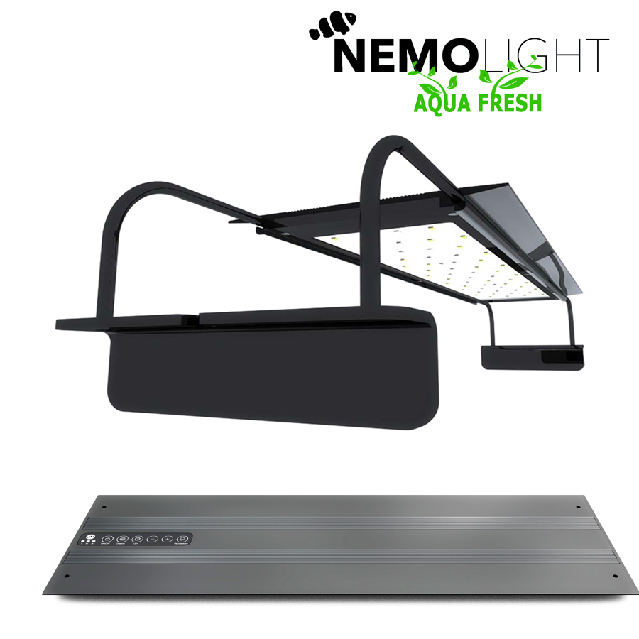 nemo light freshwater
