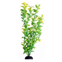 Aqua One Ecoscape Large Hygro Green 12"