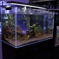 Dymax GS60 Aquarium Assembly with Bonus LED Light
