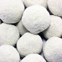 Biopro Biopure Bacteria House Balls 20Kg