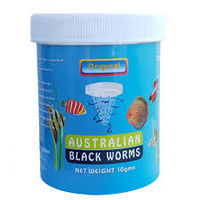 Australian Black Worm Pigmented Freeze Dried 10g Cube in Container