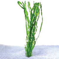 Vallisneria Thin Live Plant 