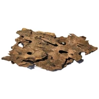 Bioscape Shrimp Wood Medium 20–30cm – Natural Aquarium Driftwood