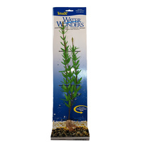 Tetra Diandra Water Wonders Plant Large