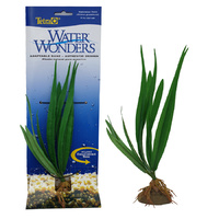 Tetra Silk Plant Japanese Fern Water Wonders