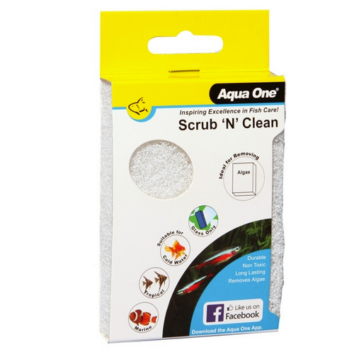 Scrub N Clean Algae Pad