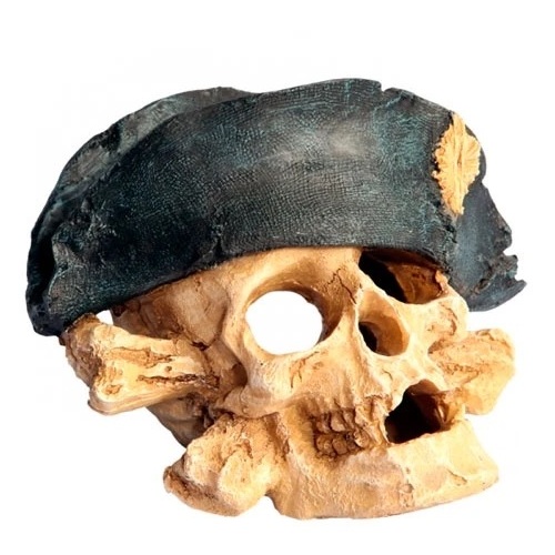 Aqua One Skull with Hat 13 x 12 x 11cm