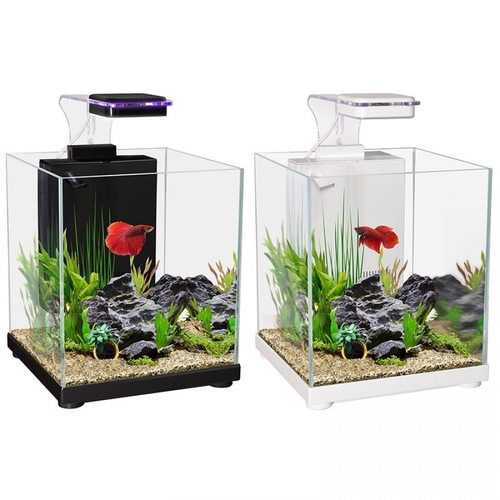 Aqua One Betta Sanctury Black