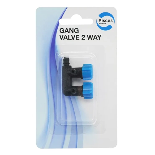 Gang Valve 2 Way