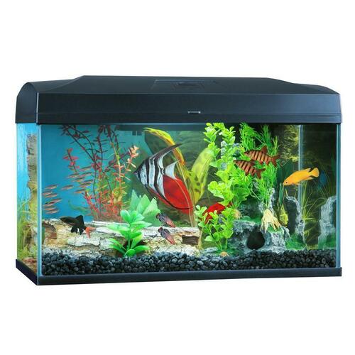 Blue Planet Classic 50L Aquarium Fish Tank Starter Kit