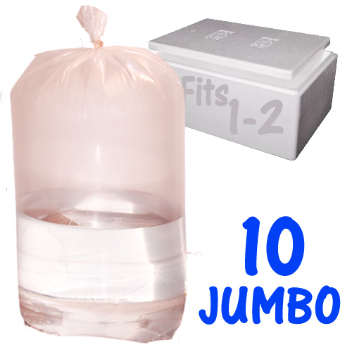 10 x Jumbo Fish Bags