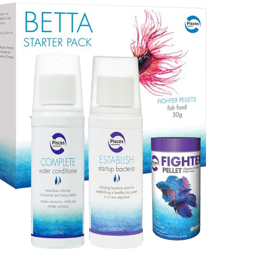 Pisces Betta Fighter Fish Starter Pack