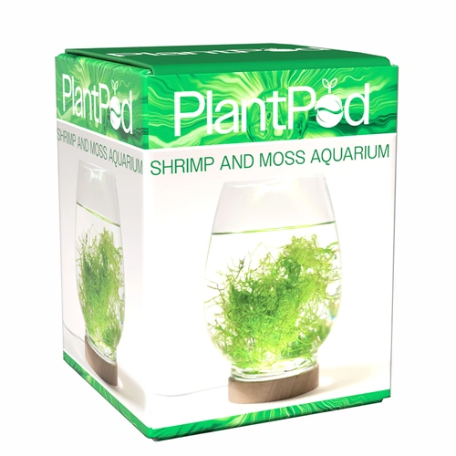 Aqua Natural PlantPod Shrimp & Moss Desktop Aquarium System