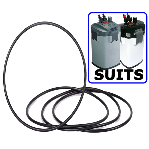 Biopro / Hopar / Worx 800 Canister Filter Head O Ring Replacement Part